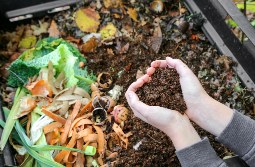 Composting Tips: Everything You Need to Know