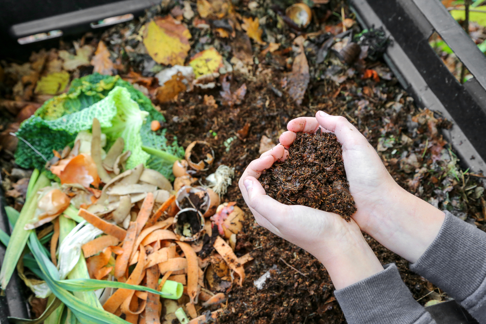 smart green tips, green tips, Composting Tips: Everything You Need to Know,, Green Gardening