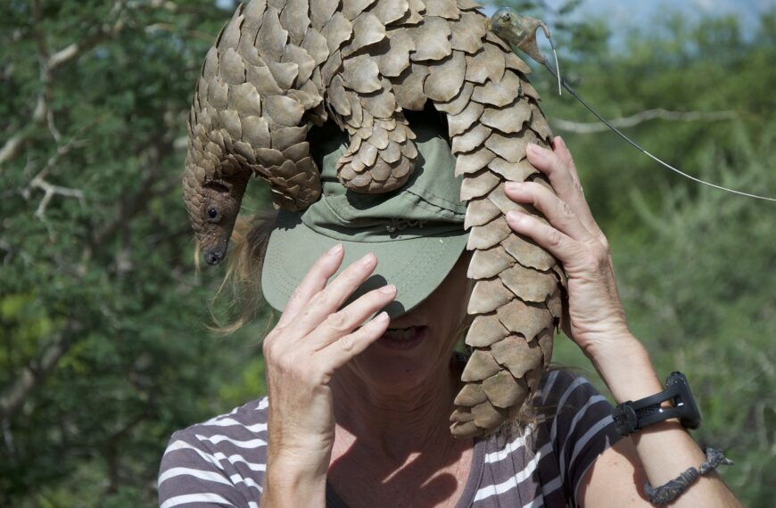The Perilous Plight of Pangolins: A Green Perspective