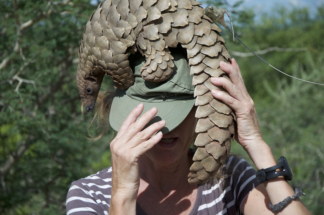 smart green tips, green tips, The Perilous Plight of Pangolins: A Green Perspective,, Endangered Animals